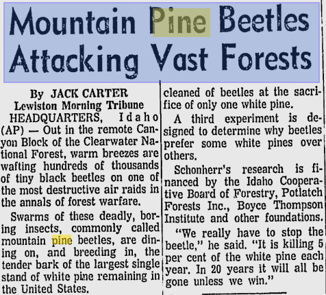 ScreenHunter_26 Jun. 24 07.56  Below350.org