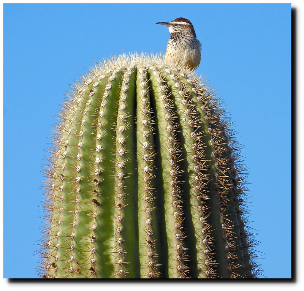 last-day-in-the-desert-real-climate-science