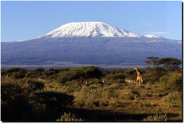 kilimanjaro.jpg